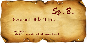 Szemesi Bálint névjegykártya